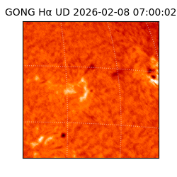 gong - 2026-02-08T07:00:02