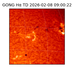 gong - 2026-02-08T09:00:22