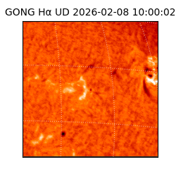 gong - 2026-02-08T10:00:02
