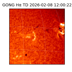 gong - 2026-02-08T12:00:22