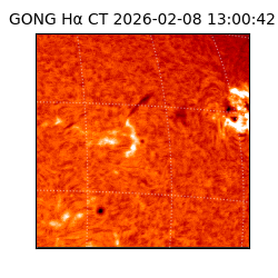 gong - 2026-02-08T13:00:42