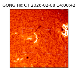 gong - 2026-02-08T14:00:42