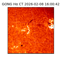 gong - 2026-02-08T16:00:42