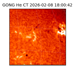 gong - 2026-02-08T18:00:42