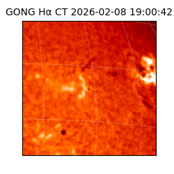 gong - 2026-02-08T19:00:42