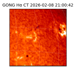 gong - 2026-02-08T21:00:42