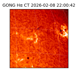 gong - 2026-02-08T22:00:42