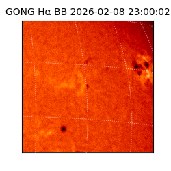 gong - 2026-02-08T23:00:02