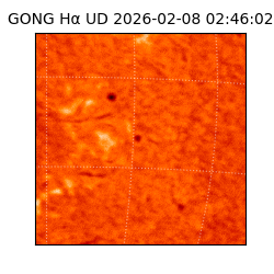 gong - 2026-02-08T02:46:02