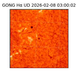 gong - 2026-02-08T03:00:02