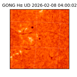 gong - 2026-02-08T04:00:02