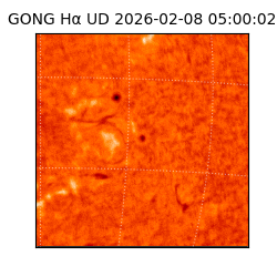 gong - 2026-02-08T05:00:02