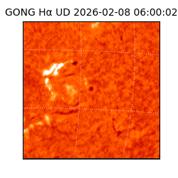 gong - 2026-02-08T06:00:02