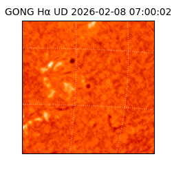 gong - 2026-02-08T07:00:02