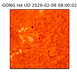 gong - 2026-02-08T08:00:02