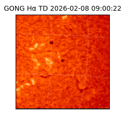 gong - 2026-02-08T09:00:22