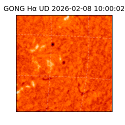gong - 2026-02-08T10:00:02