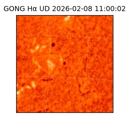gong - 2026-02-08T11:00:02