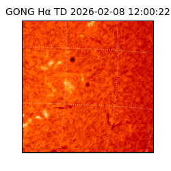 gong - 2026-02-08T12:00:22