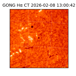 gong - 2026-02-08T13:00:42