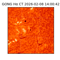 gong - 2026-02-08T14:00:42