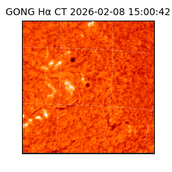 gong - 2026-02-08T15:00:42