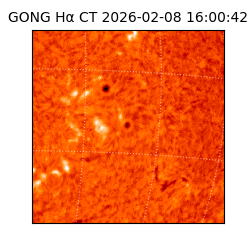gong - 2026-02-08T16:00:42