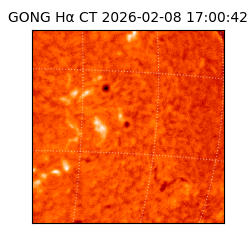 gong - 2026-02-08T17:00:42