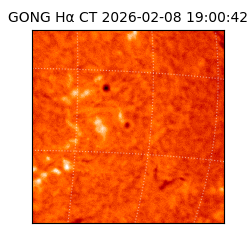 gong - 2026-02-08T19:00:42