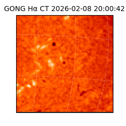 gong - 2026-02-08T20:00:42