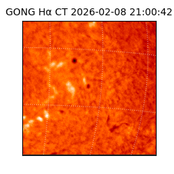 gong - 2026-02-08T21:00:42