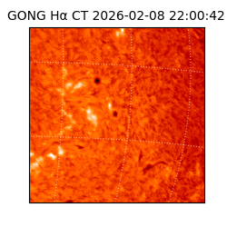 gong - 2026-02-08T22:00:42