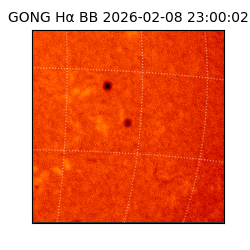 gong - 2026-02-08T23:00:02