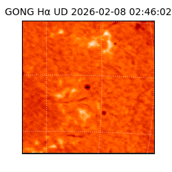 gong - 2026-02-08T02:46:02