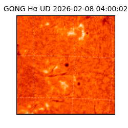 gong - 2026-02-08T04:00:02