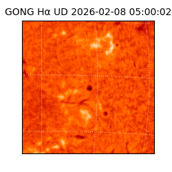 gong - 2026-02-08T05:00:02