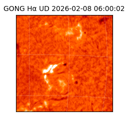 gong - 2026-02-08T06:00:02