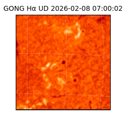 gong - 2026-02-08T07:00:02