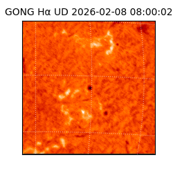 gong - 2026-02-08T08:00:02