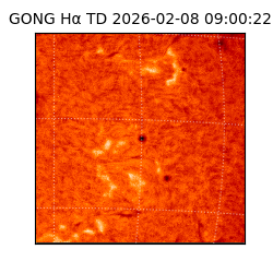 gong - 2026-02-08T09:00:22
