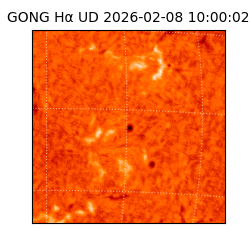gong - 2026-02-08T10:00:02