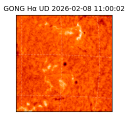 gong - 2026-02-08T11:00:02