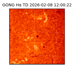 gong - 2026-02-08T12:00:22