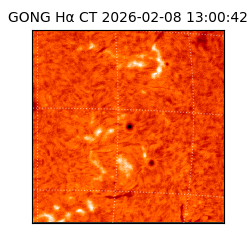 gong - 2026-02-08T13:00:42