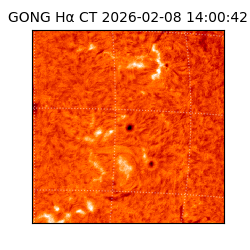 gong - 2026-02-08T14:00:42