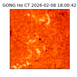 gong - 2026-02-08T18:00:42