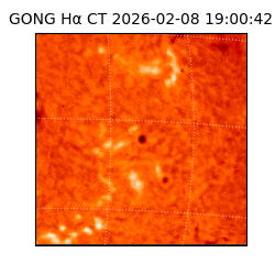 gong - 2026-02-08T19:00:42