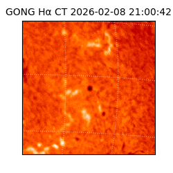 gong - 2026-02-08T21:00:42