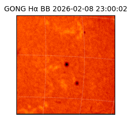 gong - 2026-02-08T23:00:02