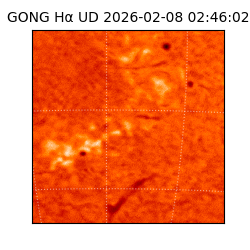 gong - 2026-02-08T02:46:02